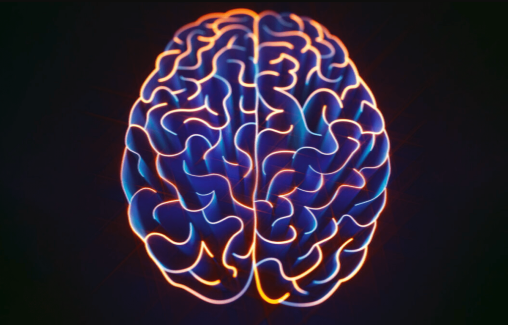 neuroliderazgo